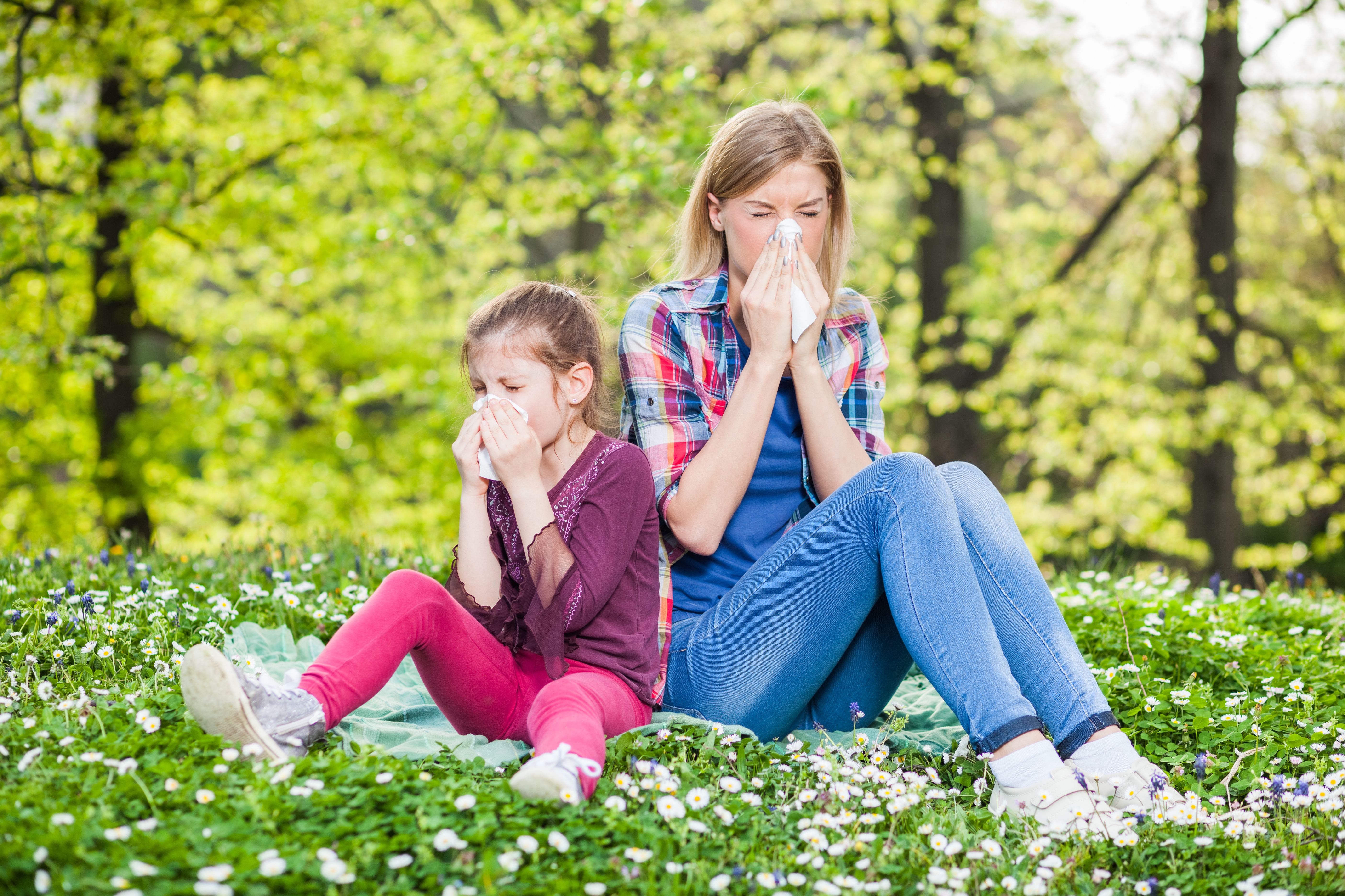 allergologia